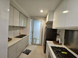 Oasis @ Elias (D18), Condominium #571007951